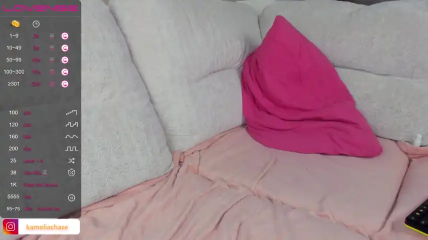 Kameliachase – [Stripchat] Nice Stream Record Naked – 2025-06-24 10:52:00