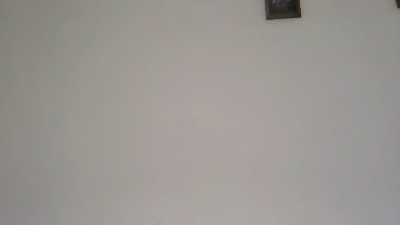 Podnieconaona19_ – [Showup] Cam Video Shaved Playful – 2026-01-21 00:09:16