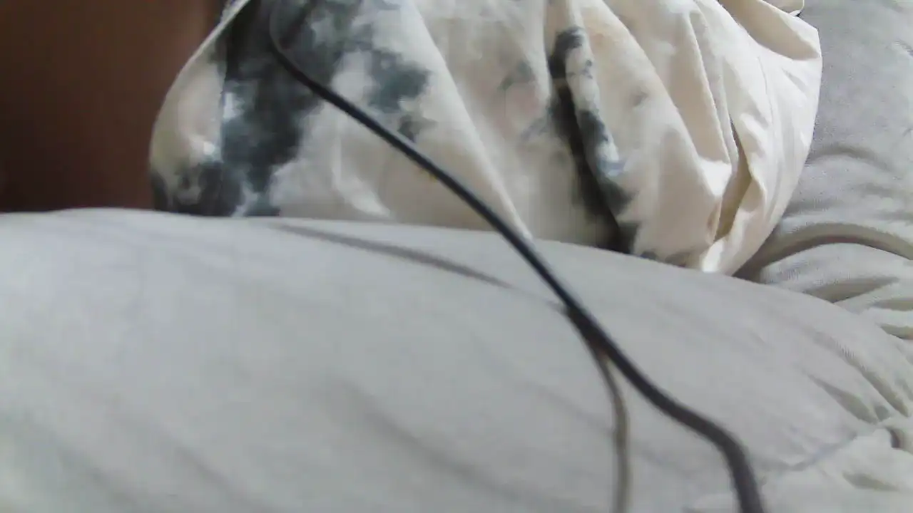 Ruru2022 – [Sakuralive] Babe Sexy Sister Webcam Recording – 2026-01-28 23:55:09