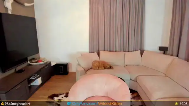 Wildestkitten – [Myfreecams] Big-ass Privat Zapisi Porn – 2025-04-18 12:26:58