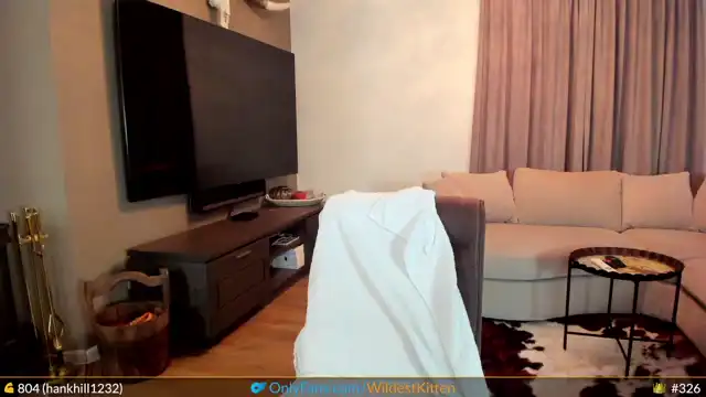 Wildestkitten – [Myfreecams] Roleplay Slut Wild Babe – 2025-09-01 14:47:18