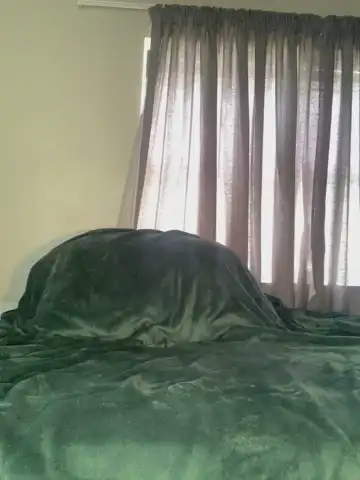 Curvydesire1 – [Stripchat] Oral Gets Lucky Pvt – 2025-11-10 18:12:17